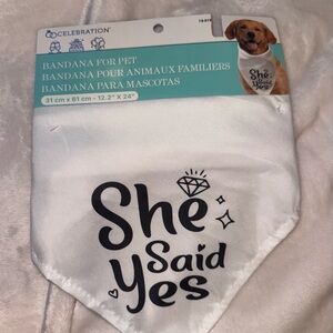 Pet bandana
